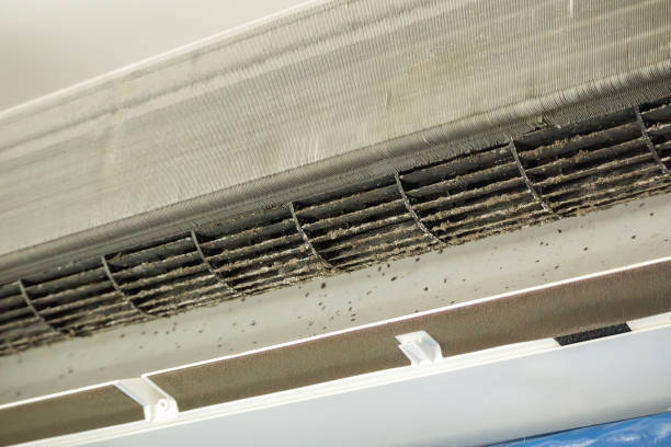 Best HVAC Air Duct Cleaning  in Reidsville, GA